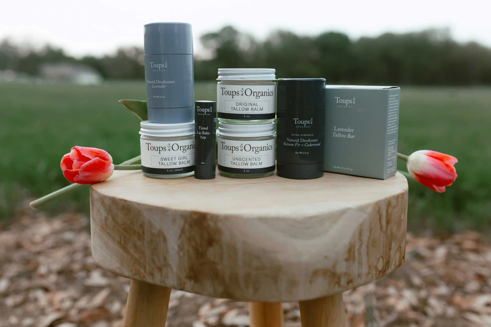 Purely Organic Skin and Beauty